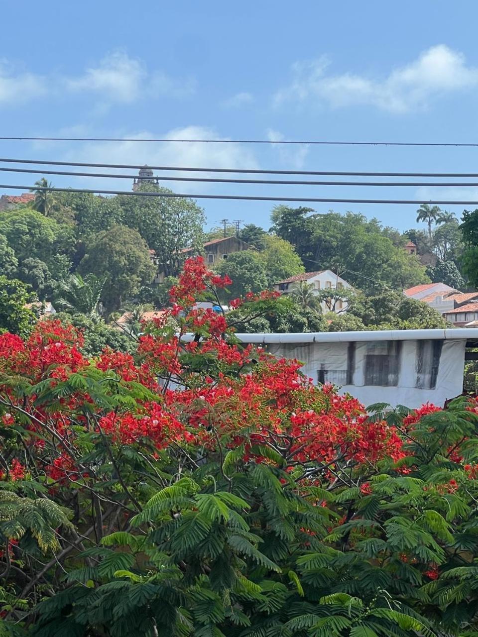 Pousada Do Leo Olinda Dış mekan fotoğraf